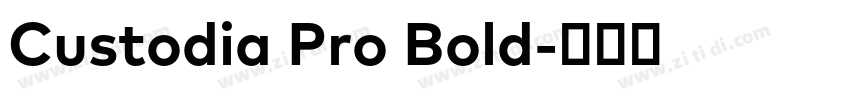 Custodia Pro Bold字体转换